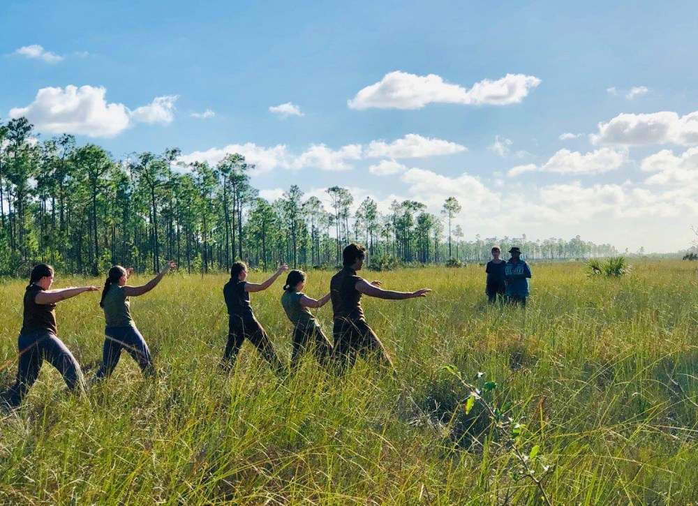 Dancers in Dale Andree's "Everglades Imprint" in Long Pine Key, Everglades National Park. Photo by Deborah Mitchell/AIRIE.